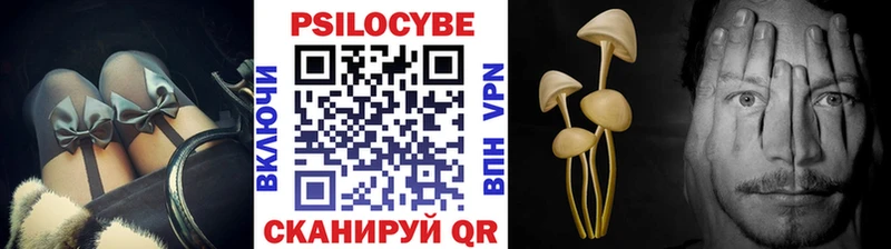 Купить закладки Дербент Псилоцибиновые грибы Magic Shrooms